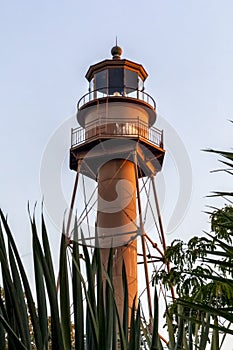 Sanibel Light Through Palms - Sanibel Island Lighthouse, Florida photo
